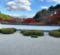 京都への旅🍁